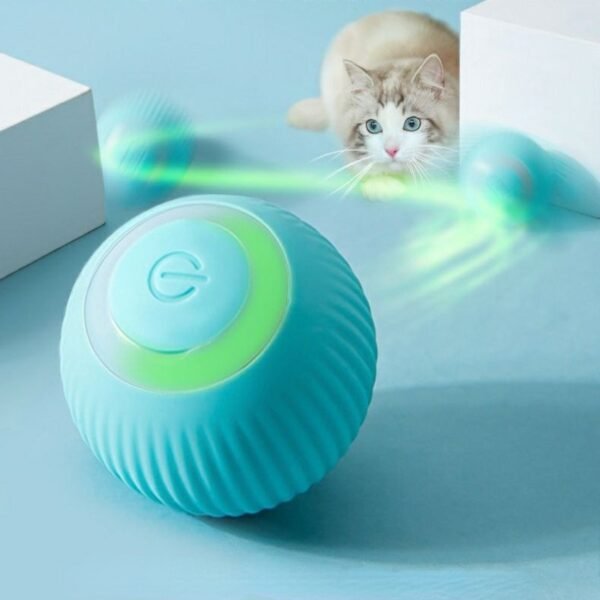 Cat Ball Auto Rolling for Kitty Training